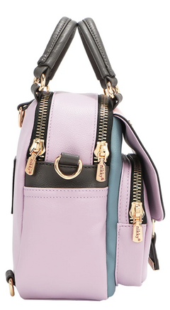 Convertible Handbag/Backbag Best Buddies